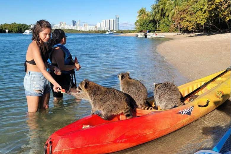 Interactuando con los maches junto a los kayaks