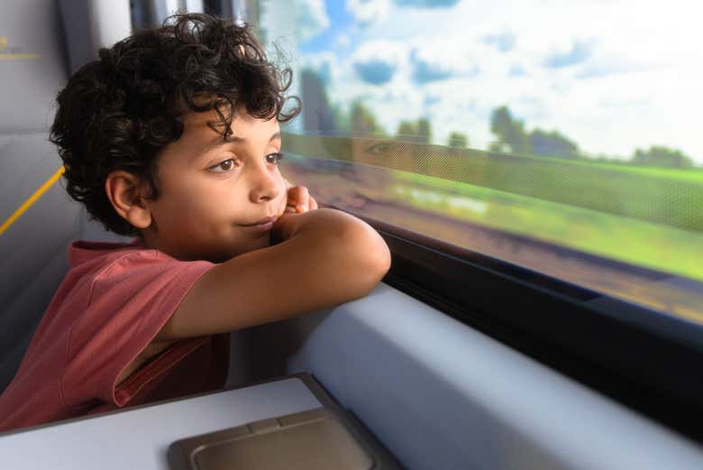 Guardando il paesaggio della Florida dal treno