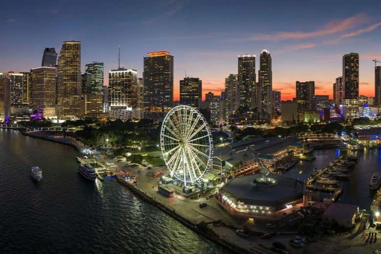 La noria de Miami al anochecer