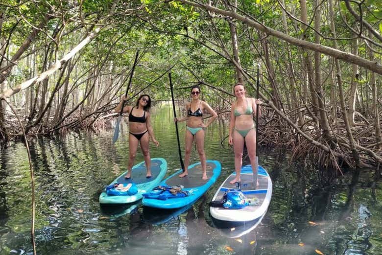 Navegando en tablas de paddle surf hacia la isla