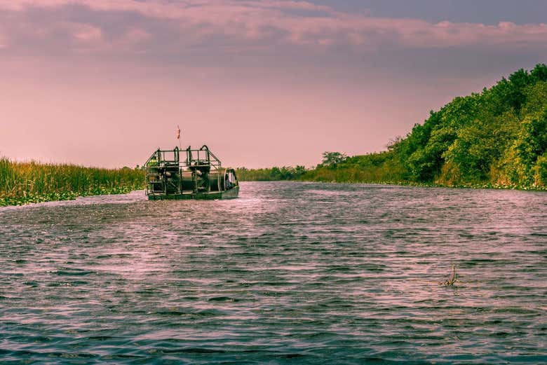 Vistas do airboat nos Everglades