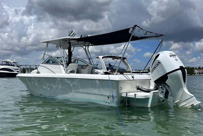 ¡Disfrutaréis de un inolvidable paseo privado!