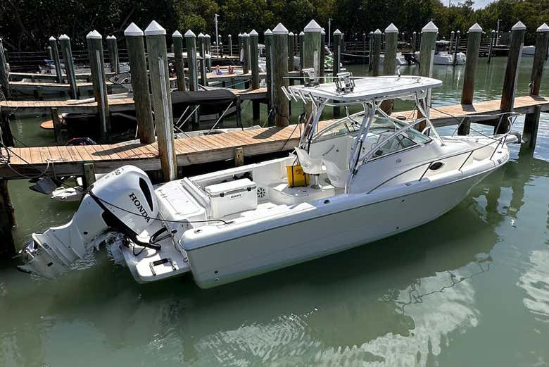 ¿Preparados para navegar por las aguas de Miami?