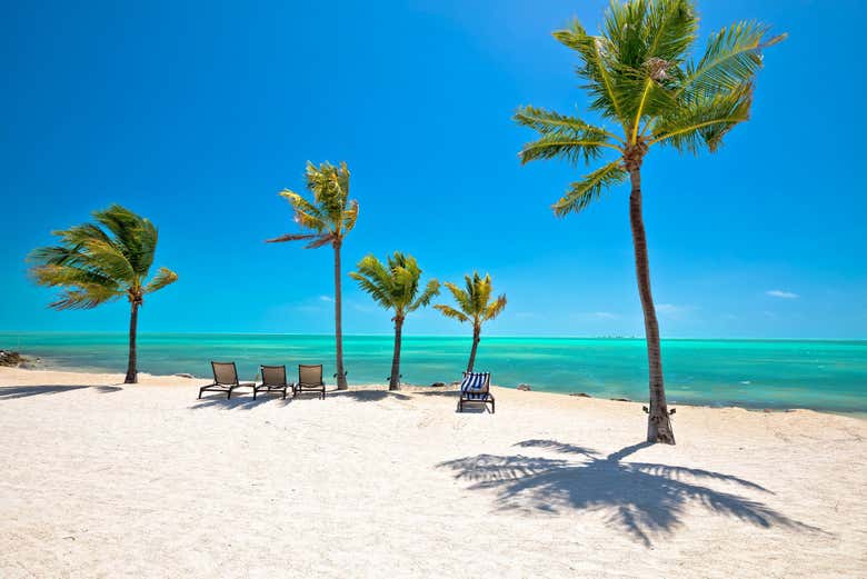 Plage de sable blanc à Islamorada