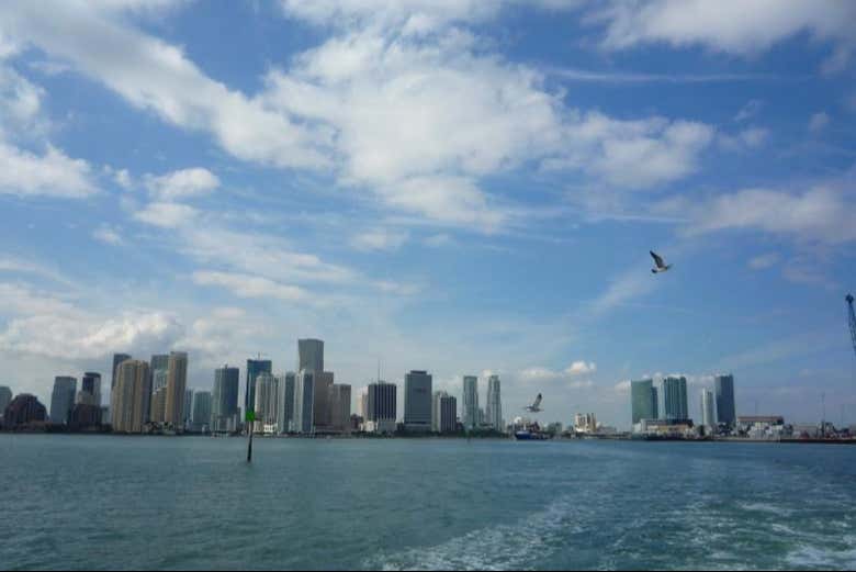 Skyline de Miami