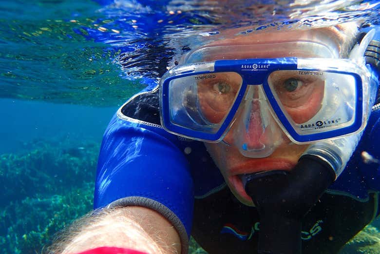 Dive into the warm Florida ocean
