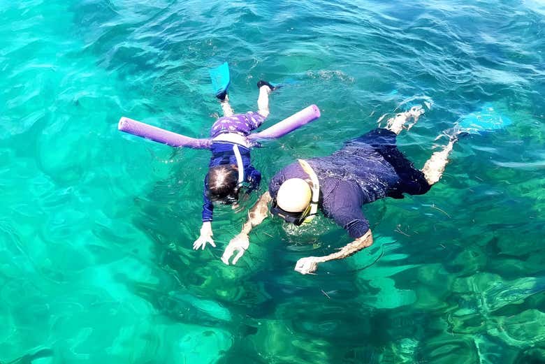 Snorkel in Miami!