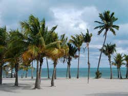 Crandon Park Beach