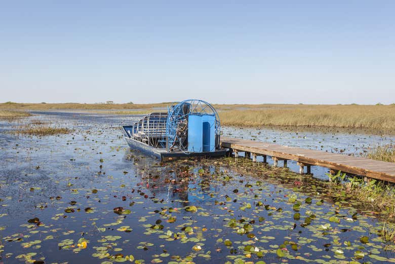Aerodeslizador en los Everglades