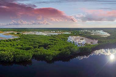 Everglades