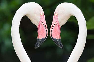 Zoo Miami