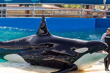 Miami Seaquarium