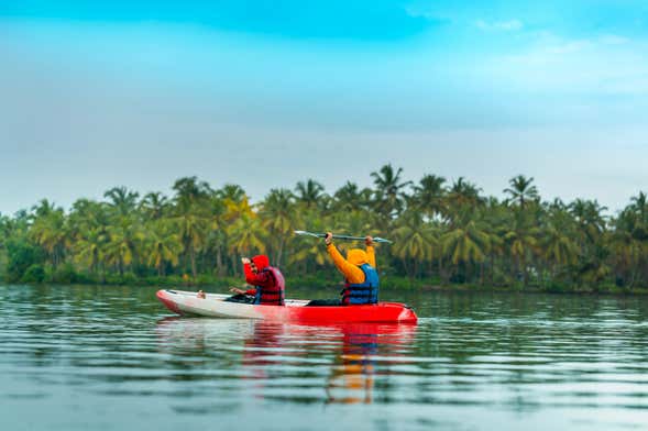 Kayak o paddle surf en Raccoon Island