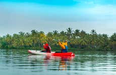 Kayak o paddle surf en Raccoon Island
