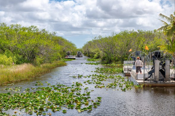 Paseo en aerodeslizador por los Everglades