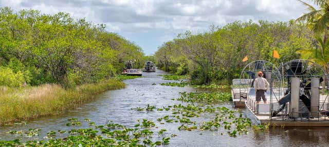 Giro in aeroscafo nelle Everglades
