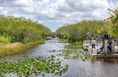 Giro in aeroscafo nelle Everglades