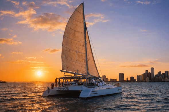 Paseo en catamarán por Miami al atardecer + Barra libre