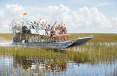 Paseo privado en aerodeslizador por los Everglades