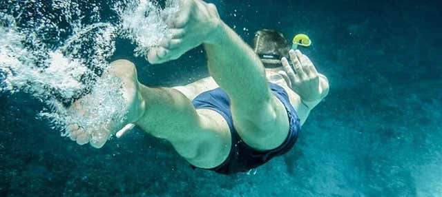 Snorkeling à Miami