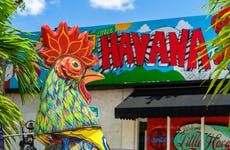 Tour del arte urbano por Little Havana