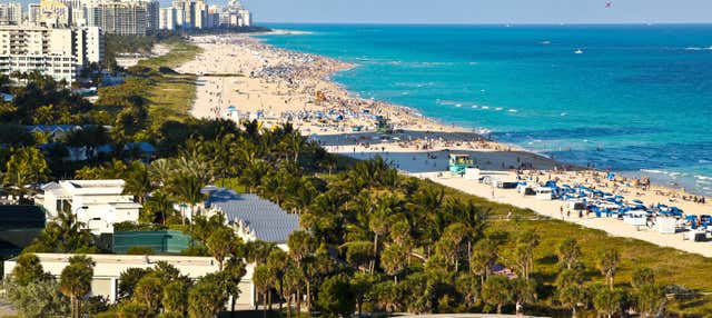 Oferta: Tour por Miami + Everglades