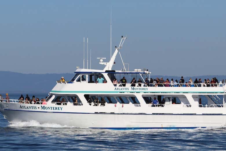 Embarcación que utilizaremos durante la actividad