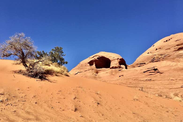 Some of the famous arches in Mystery Valley