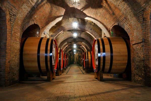 Gigantic wine barrels