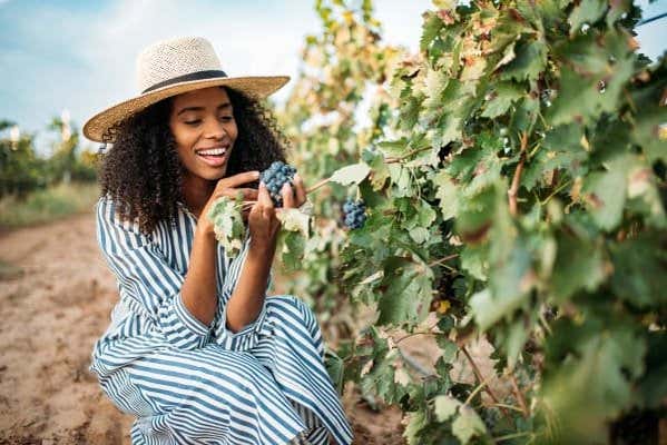 Touring the vineyards of Napa Valley