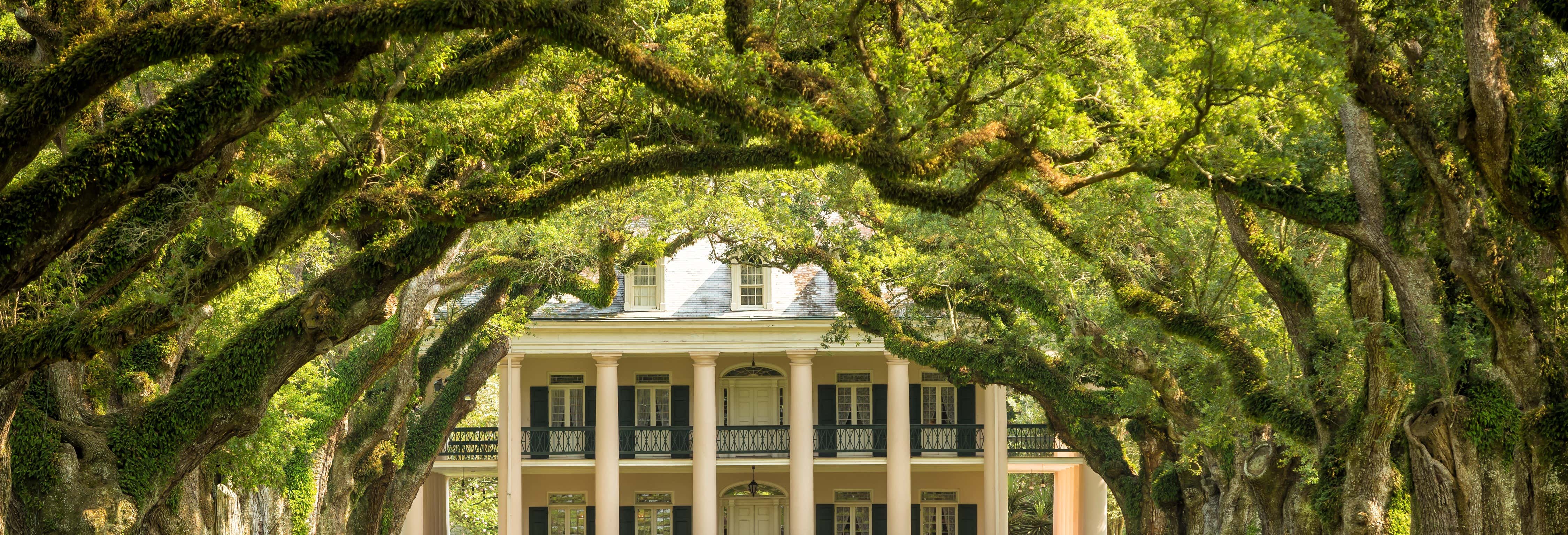 Escursioni di un giorno a New Orleans