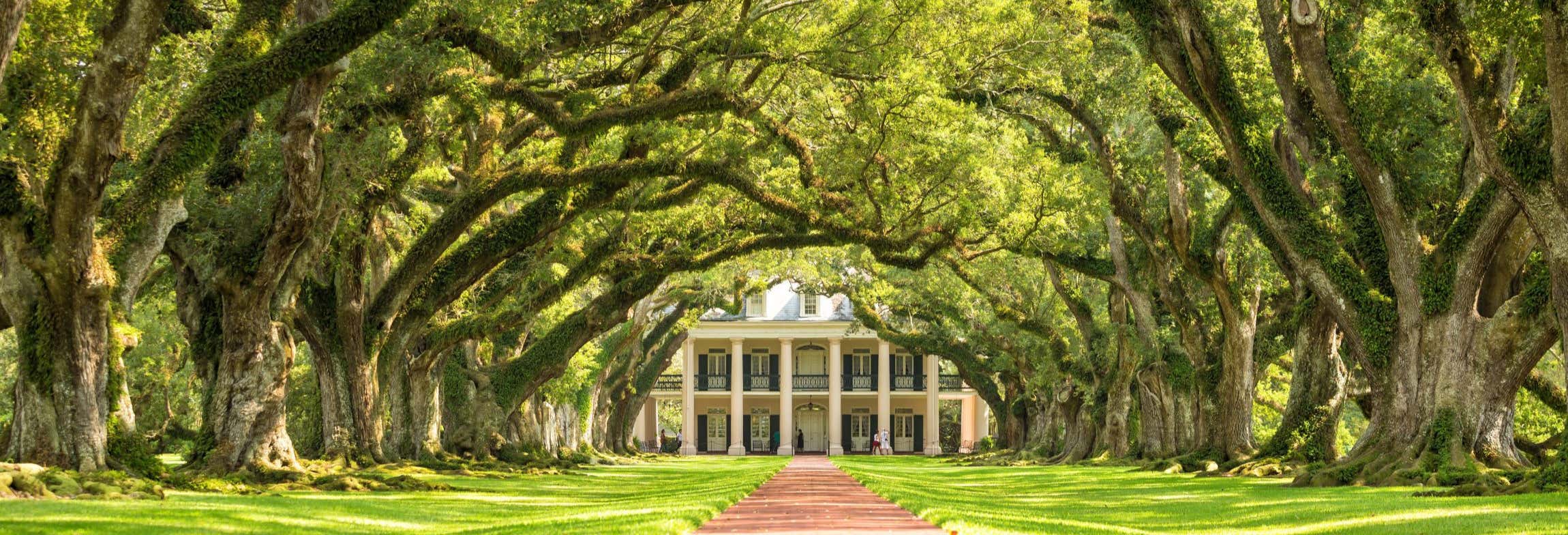 Excursiones de un día en Nueva Orleans