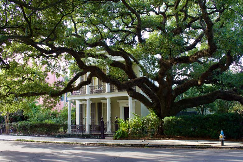 Maisons du Garden District