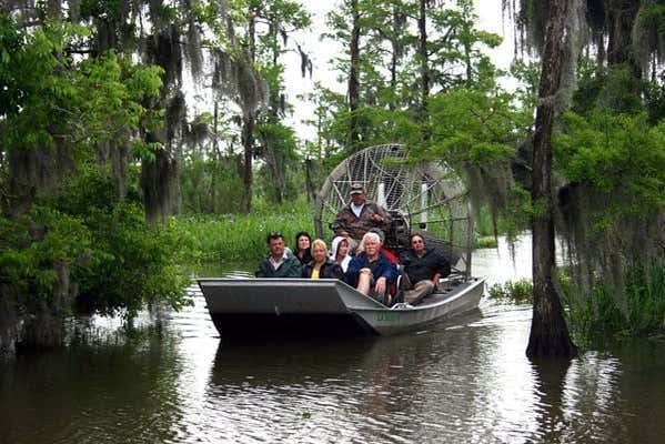 Visitando la natura di Barataria
