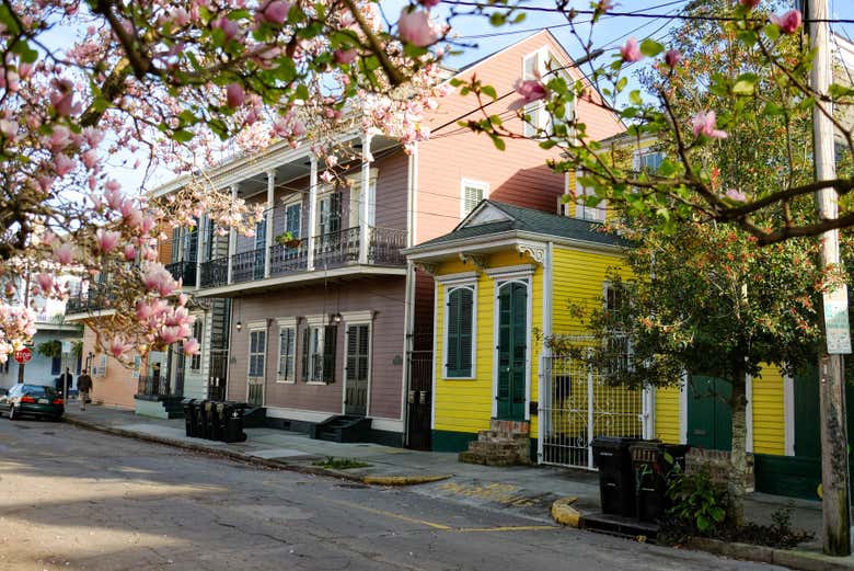 Vous allez adorer le "French Quarter"