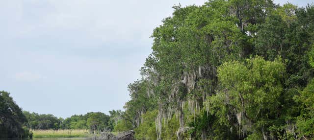 Barataria Preserve Boat Trip