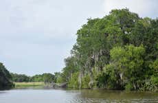 Barataria Preserve Boat Trip
