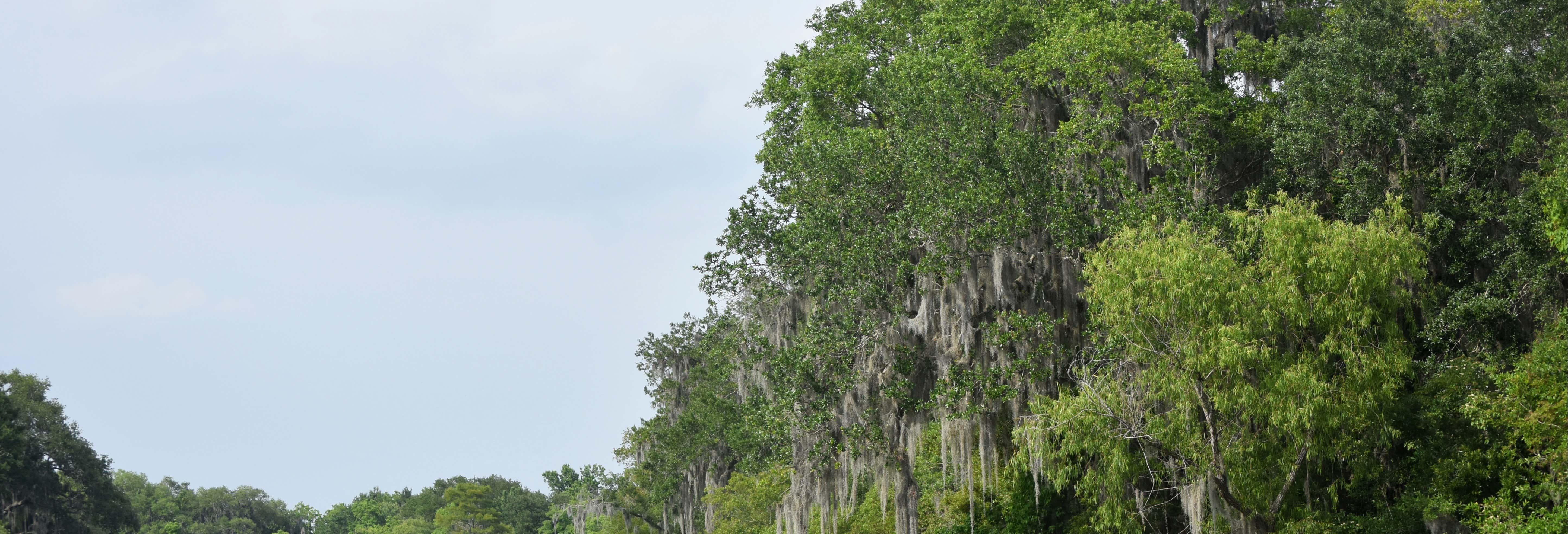 Giri in barca a New Orleans