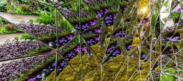 Ticket to the New York Botanical Garden