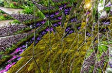 Biglietti per il Giardino botanico di New York