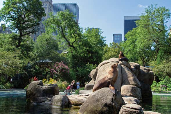 Entrada al Zoo de Central Park