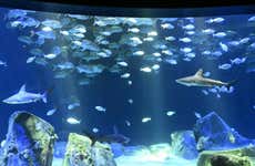 Entradas al Acuario de Nueva York