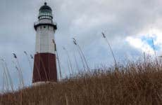 The Hamptons Day Trip