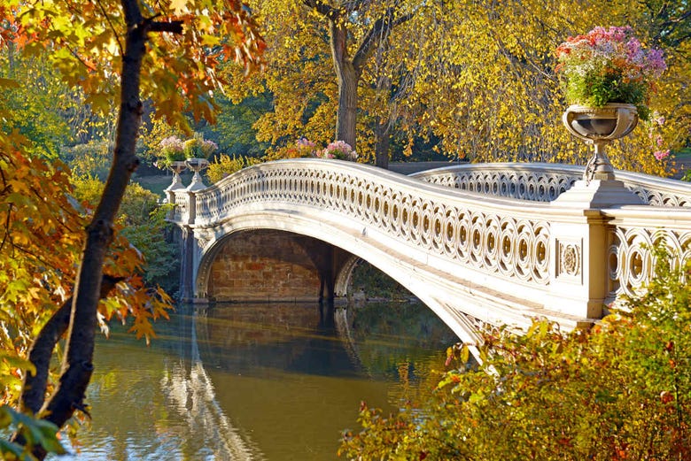 Bow Bridge à Central Park