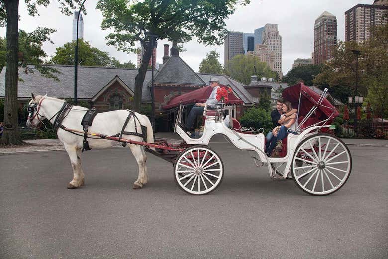 Paseo en calesa en Central Park