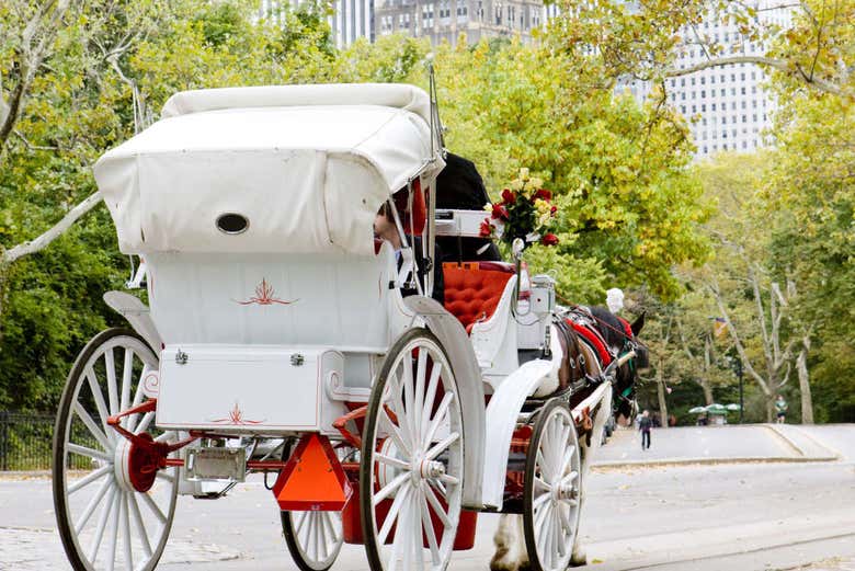 Carruaje en Nueva York