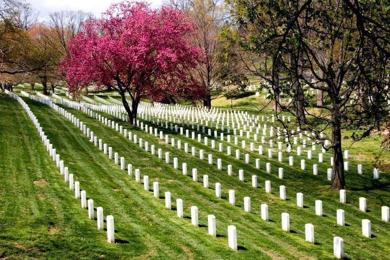 Cementerio de Arlington