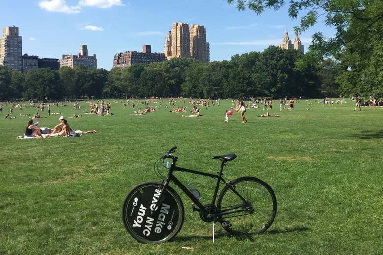 Descansando en Central Park
