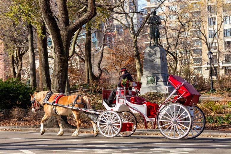 Calesa en Nueva York