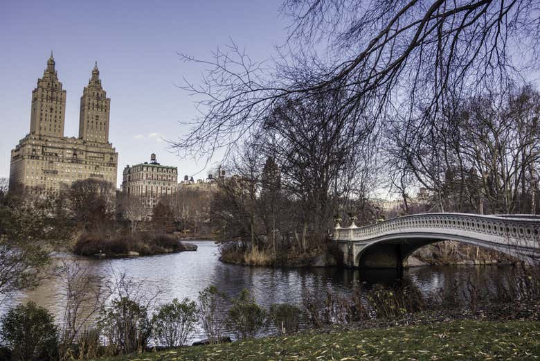Central Park